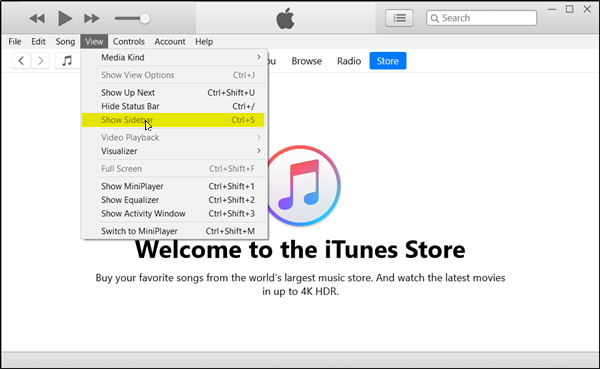 Itunes app store for pc download windows 10